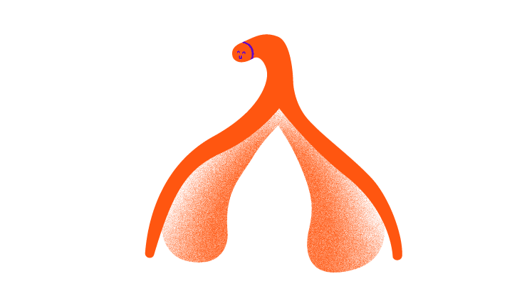 Illustration d'un clitoris souriant de couleur orange flash